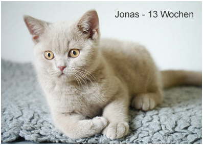 Jonas-13-W