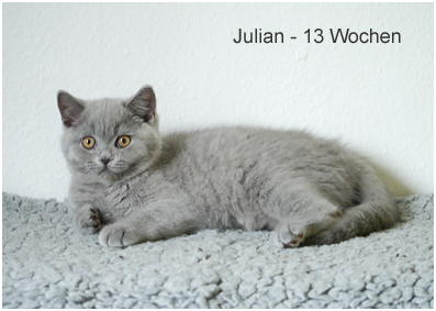 Julian-13-W